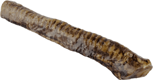 Beef Trachea 12”