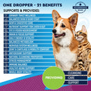 Beloved Pets 15-in-1 Multi Vitamin ABCD Complex for Dogs & Cats (2 oz) - Multi-Vitamins 2