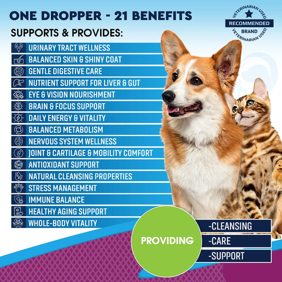 Beloved Pets 15-in-1 Multi Vitamin ABCD Complex for Dogs & Cats (2 oz) - Multi-Vitamins 2