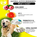 Beloved Pets Anti Itch & Allergy Relief Chews Dog Allergy Supplement 10-oz - Immune & Allergy Supplements for Dogs 4