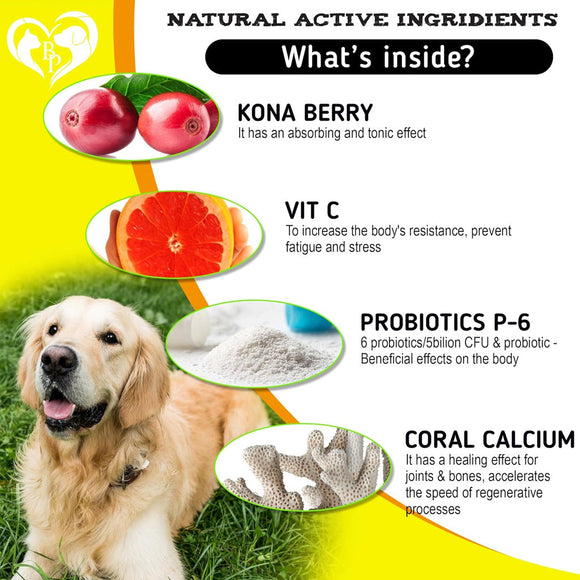 Beloved Pets Anti Itch & Allergy Relief Chews Dog Allergy Supplement 10-oz - Immune & Allergy Supplements for Dogs 4
