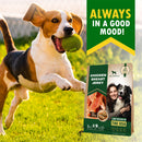 Beloved Pets Chicken Breast Jerky Dog Treats 10.6-oz - Dog Treats 2