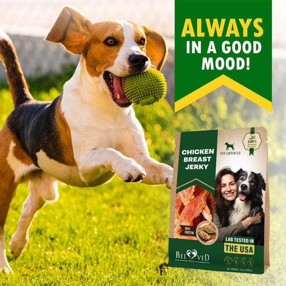 Beloved Pets Chicken Breast Jerky Dog Treats 10.6-oz - Dog Treats 2