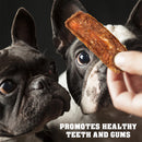 Beloved Pets Chicken Jerky Fillet Dog Treats 1.5-lb - Dog Treats 4