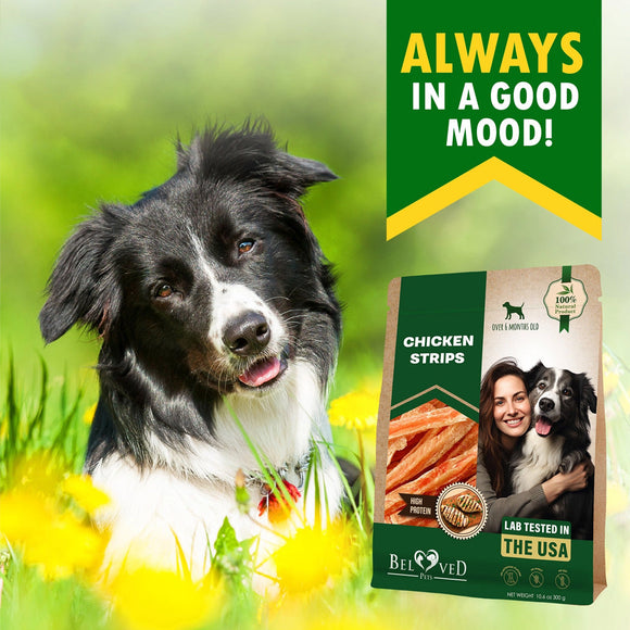 Beloved Pets Chicken Strips Dog Treats 10.6-oz - Dog Treats 2