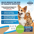 Beloved Pets Dewo with Probiotics Natural Intestinal Defense for Cats & Dogs (2 oz)