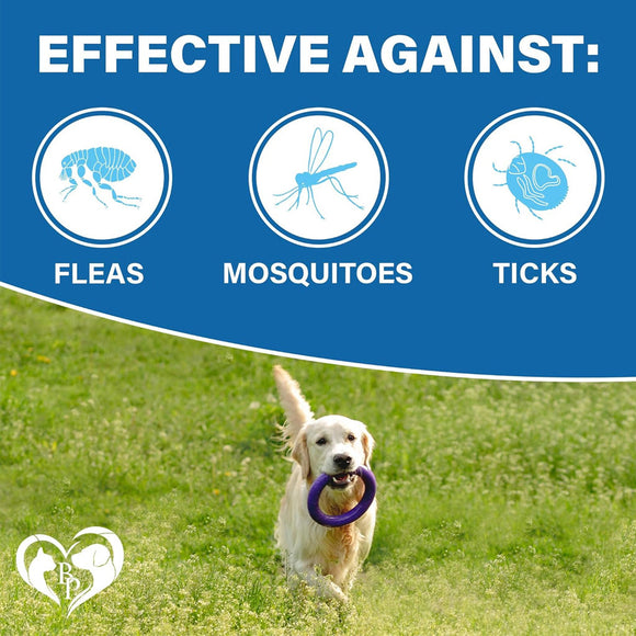 Beloved Pets Flea & Tick Prevention Support Soft Chews for Dogs 10-oz - Dog Oral Flea & Tick Prevention 7