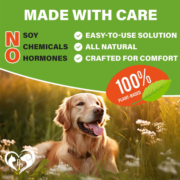 Beloved Pets Flea & Tick Support Chicken Flavor Chewable Supplements for Dogs 10-oz - Dog Oral Flea & Tick Prevention 3