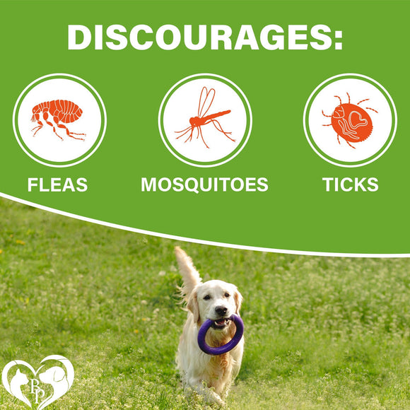Beloved Pets Flea & Tick Support Chicken Flavor Chewable Supplements for Dogs 10-oz - Dog Oral Flea & Tick Prevention 7