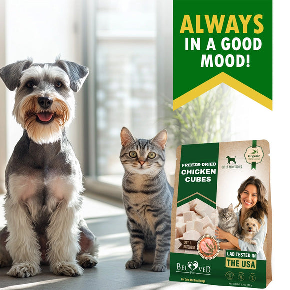 Beloved Pets Freeze-Dried Chicken Cubes Dog & Cat Treats 5.3-oz - Dog Treats 2
