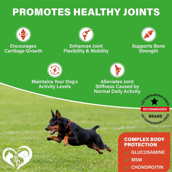 Beloved Pets Glucosamine Bacon Flavored Chews Hip & Joint Support Supplement for Dogs 10-oz - Hip & Joint Supplements