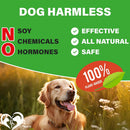 Beloved Pets Glucosamine Bacon Flavored Chews Hip & Joint Support Supplement for Dogs 10-oz - Hip & Joint Supplements