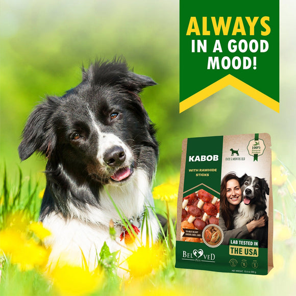 Beloved Pets Kabob with Rawhide Sticks Chicken Duck & Liver Flavor Dog Treats 10.6-oz - Dog Treats 2