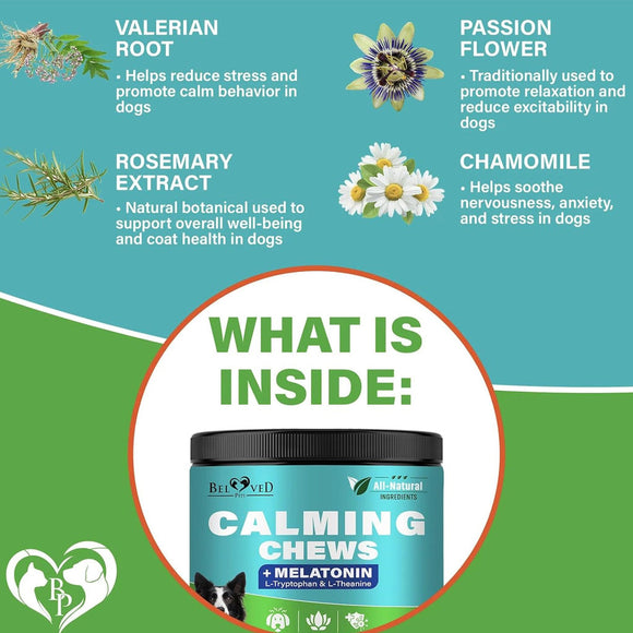 Beloved Pets Melatonin Bacon Flavored Chews Calming Supplement for Dogs 10-oz - Calming & Anxiety Supplements for Dogs 6