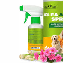 Beloved Pets Natural Flea & Tick Home Spray for Dogs & Cats 8.5-oz - Dog Flea & Tick Shampoos & Sprays 1