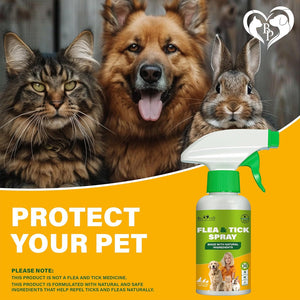 Beloved Pets Natural Flea & Tick Home Spray for Dogs & Cats 8.5-oz - Dog Flea & Tick Shampoos & Sprays 2