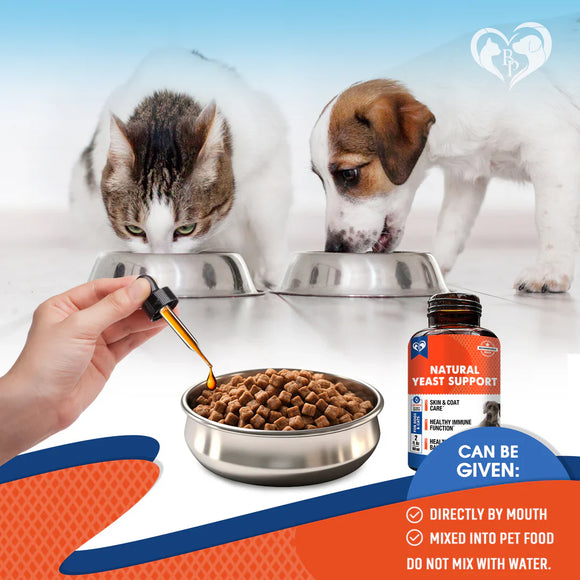 Beloved Pets Natural Yeast Infection Relief Immune & Inflammation Support for Dogs (2 oz) - Dog Skin & Coat Supplements