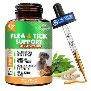 Beloved Pets Oral Flea & Tick Support Multivitamin Supplement for Dogs & Cats 2-oz - Dog Multi-Vitamins 1