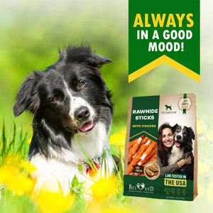Beloved Pets Rawhide Sticks with Chicken Dog Chew Treats 10.6-oz - Dog Treats 2