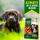 Beloved Pets Smoke Rawhide Sticks with Chicken Dog Chew Treats 10.6-oz - Dog Treats 2