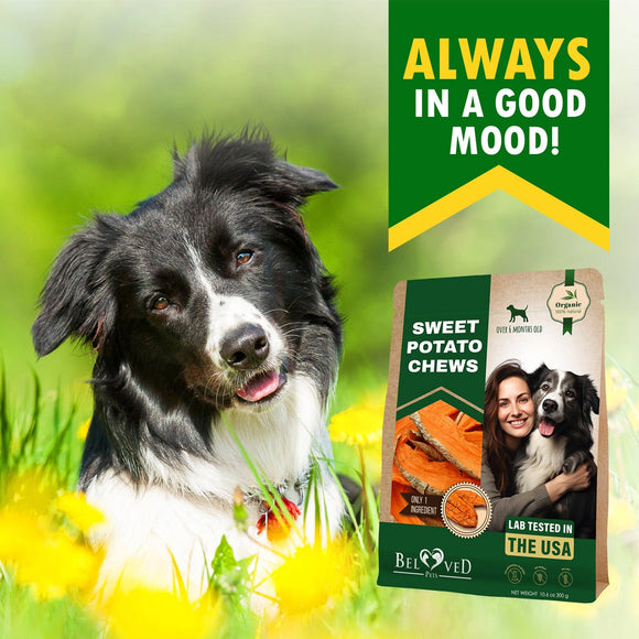 Beloved Pets Sweet Potato Chews Dog Treats 10-oz - Dog Treats 2