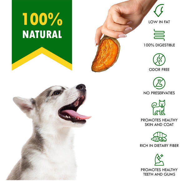 Beloved Pets Sweet Potato Chews Dog Treats 10-oz - Dog Treats 6