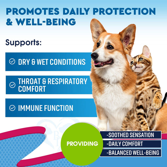 Beloved Pets Throat & Respiratory Support for Dogs & Cats 2-oz - Immune & Allergy Supplements for Dogs 7