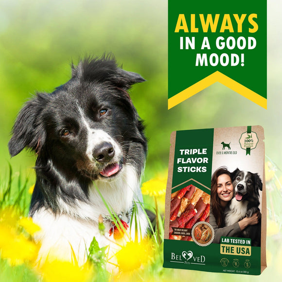 Beloved Pets Triple Flavor Dog Treats Chicken Duck & Liver 10.6-oz - Dog Treats 2