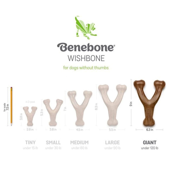 Benebone Bacon Flavor Wishbone Durable Chew Toy for Dogs - Dog Toys 7