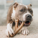 Benebone Bacon Flavor Wishbone Durable Chew Toy for Dogs - Dog Toys 10