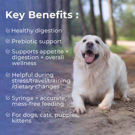 Pet Scholars Probiotic Oral Gel for Dogs & Cats 30 cc - Dog Digestive & Probiotics Supplements 2
