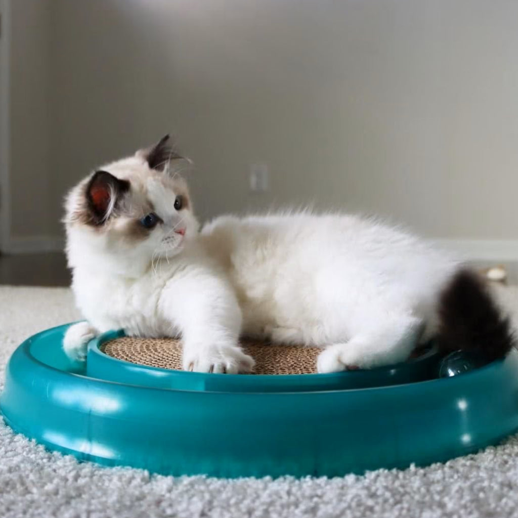 Bergan 70128 16 X 1.88 Turbo Scratcher Cat Toy Assorted Colors