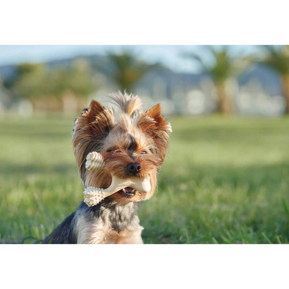 BetterBone Hard Density Beef Flavor Chew Toy For Dog