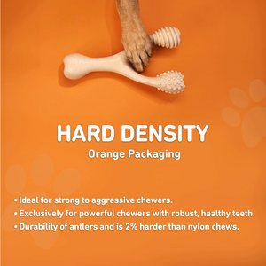 BetterBone Hard Density Classic Flavor Chew Toy For Dogs - Dog Toys 2