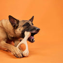 BetterBone Hard Density Beef Flavor Chew Toy For Dog