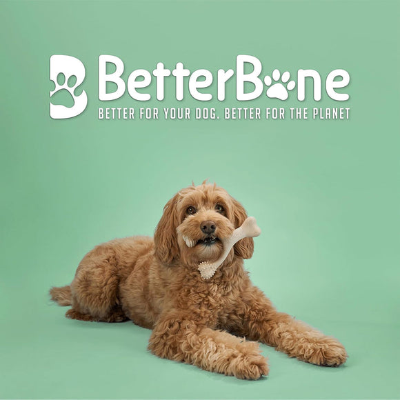 BetterBone Medium Density Beef Flavor Dog Chew Toy