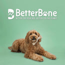 BetterBone Medium Density Classic Flavor Dog Chew Toy - Dog Chew Toy 6