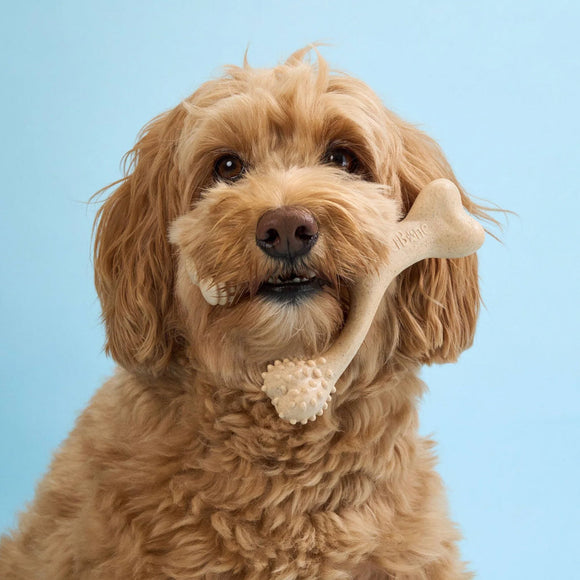 BetterBone Soft Density Beef Flavor Chew Toy For Dog