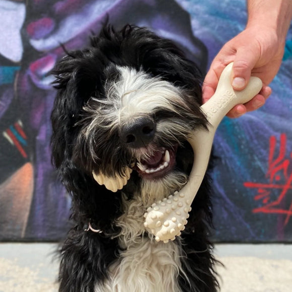 BetterBone Soft Density Classic Flavor Chew Toy For Dog