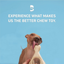 BetterBone Soft Density Classic Flavor Chew Toy For Dogs - Dog Toys 4
