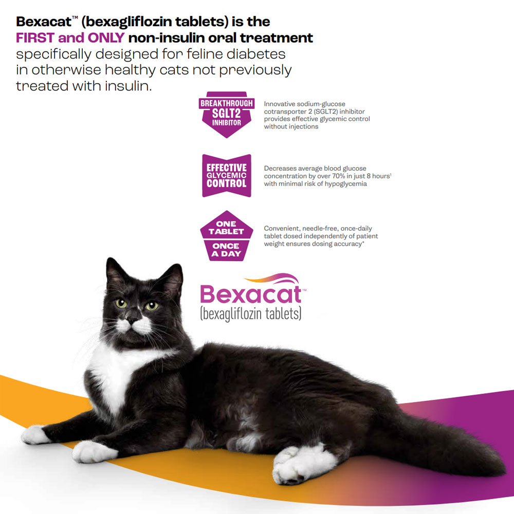 Bexacat (Bexagliflozin) Flavored Tablets for Cats