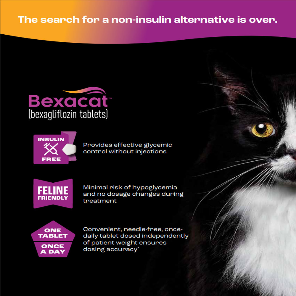 bexagliflozin is an active ingredient that works to lower blood sugar without the use of insulin