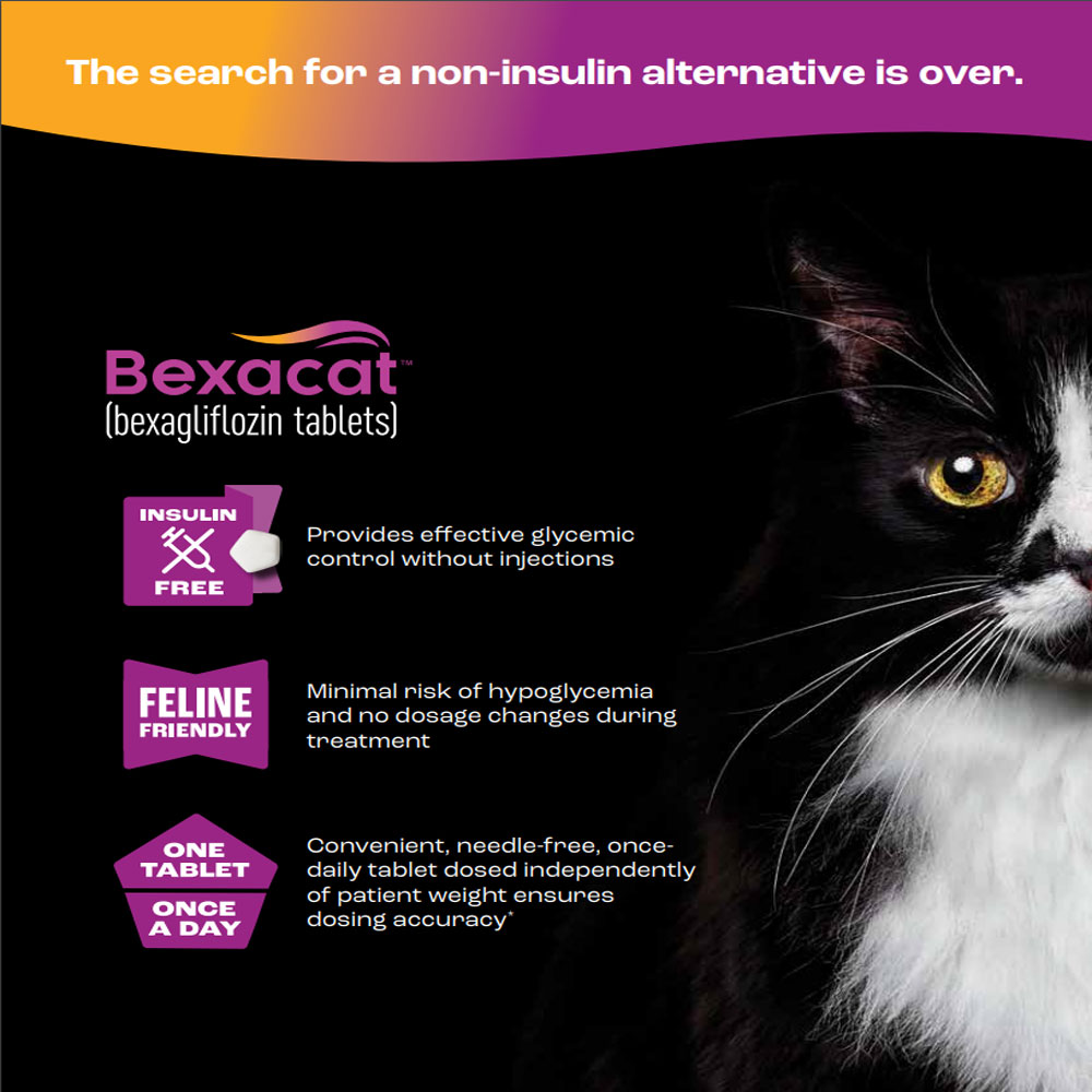 Bexacat (Bexagliflozin) Flavored Tablets for Cats, 15mg