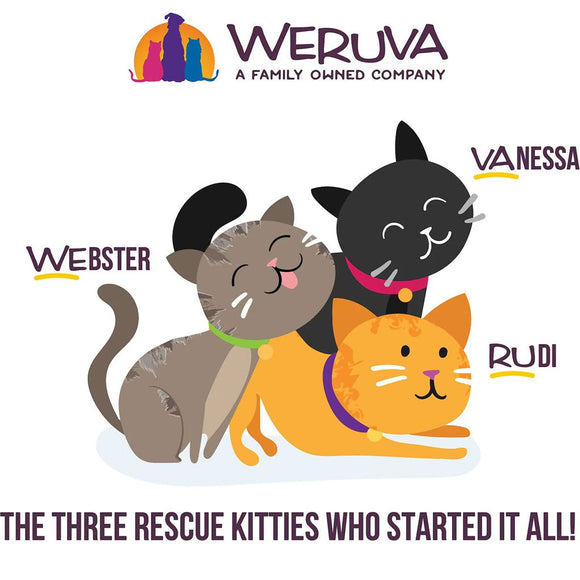 Illustration of three cartoon cats named Webster, Vanessa, and Rudi with the Weruva logo above them.
