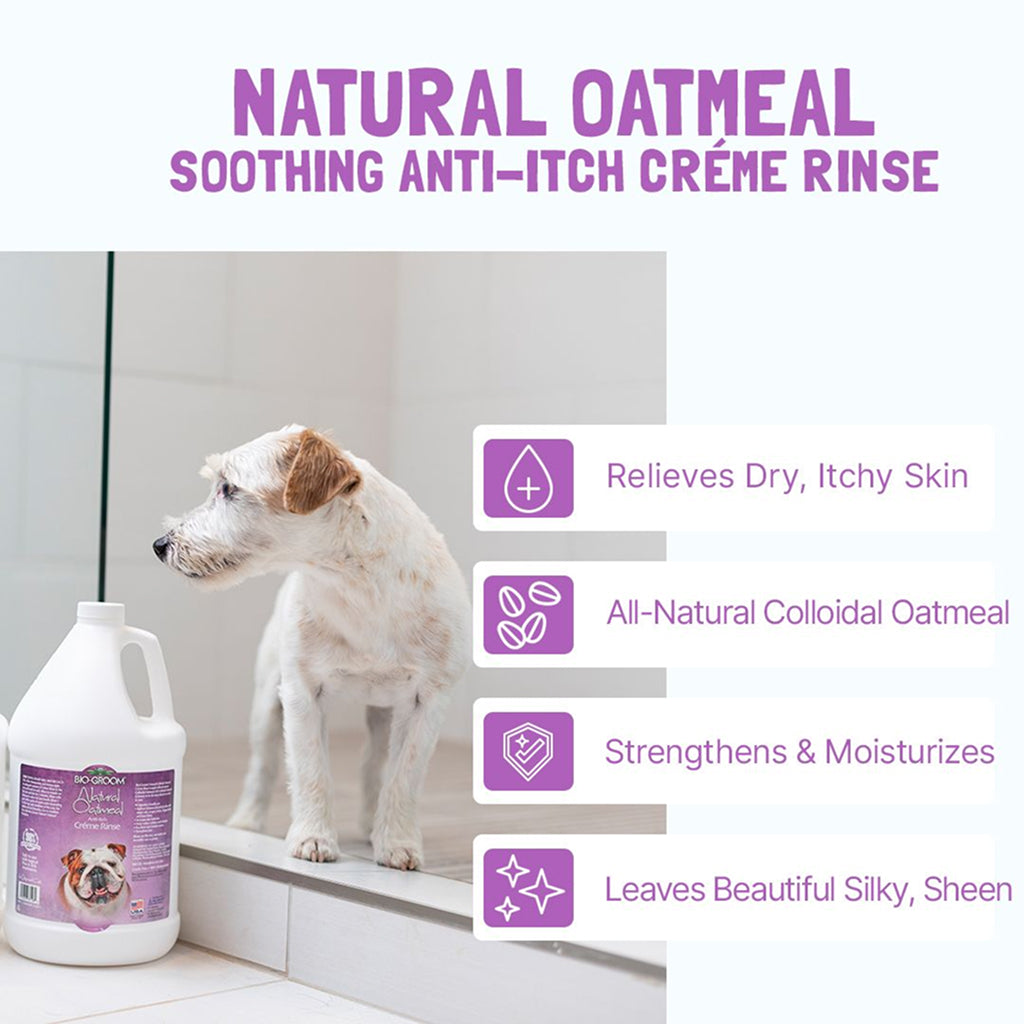 Bio-Groom Natural Oatmeal Anti-Itch Creme Rinse Dog Conditioner, 12 oz