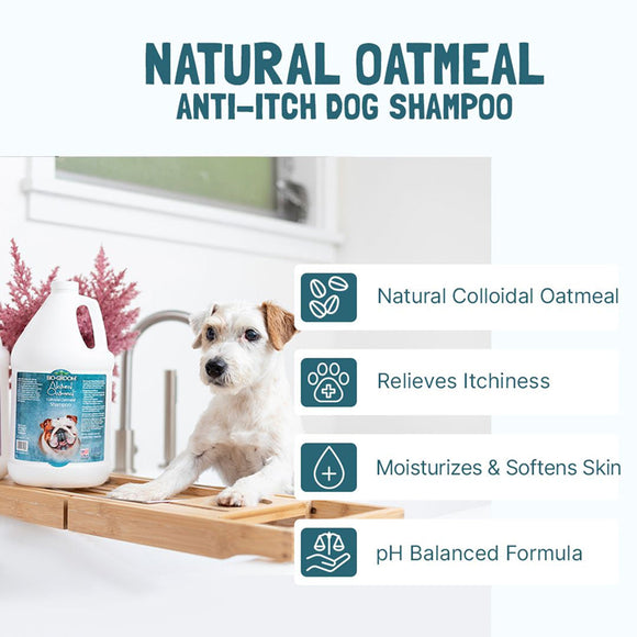 Bio Groom Natural Oatmeal Soothing Anti-Itch Shampoo For Dogs