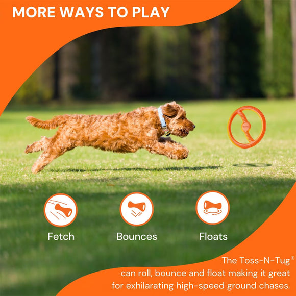 Bionic Toss-N-Tug Dog Toy Large - Dog Toys 3