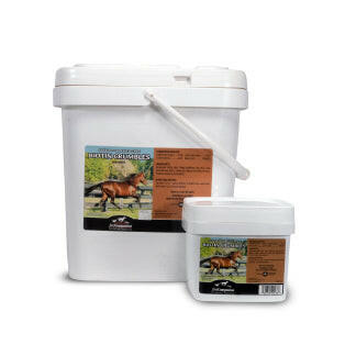 Biotin Crumbles Supplement for Horses - Horse Vitamins & Supplements 1