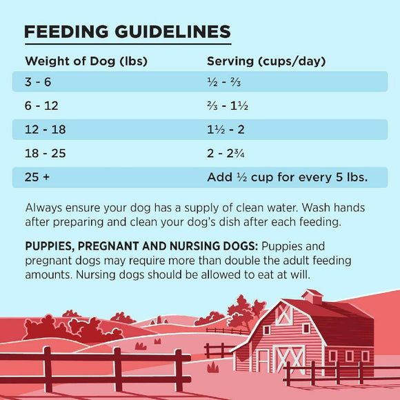 Bixbi Liberty Freeze-Dried Dog Food Beef Recipe 10 oz - Dog Food 6