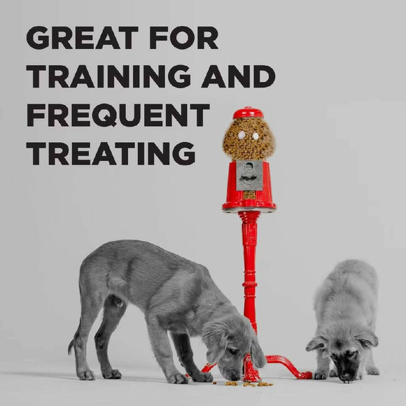 Bixbi Pocket Trainers Grain-Free Peanut Butter Treats for Dogs (6 oz)